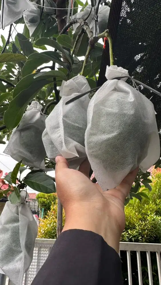 cari pekerjaan baby sitter