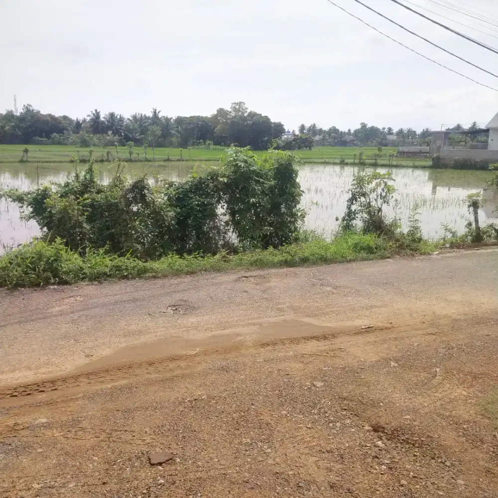 Tanah 2500 meter di Lampenerut