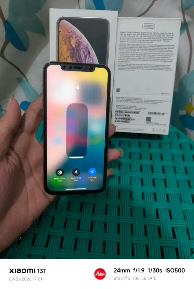 Iphone xs 256 ibox