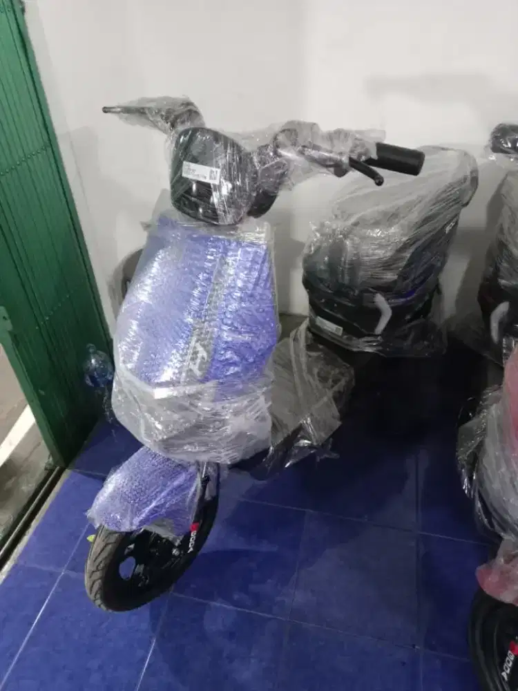 Sepeda listrik goda 006