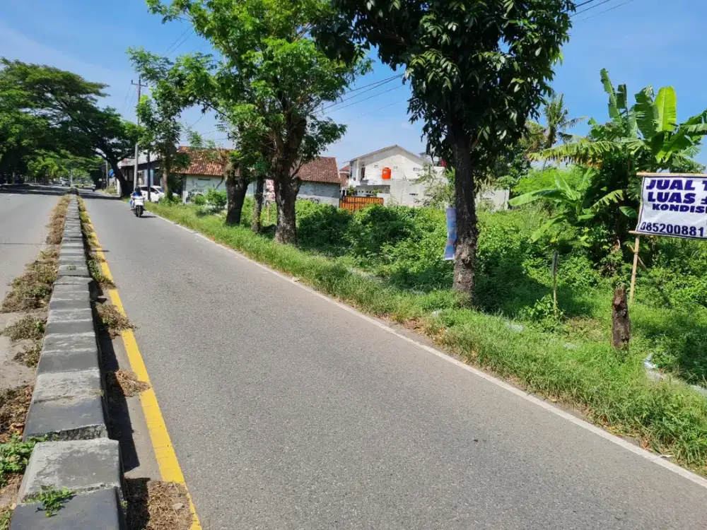 Tanah Lebar 83m Tepi Ringroad Timur, 3 Menit STIPRAM Jogja