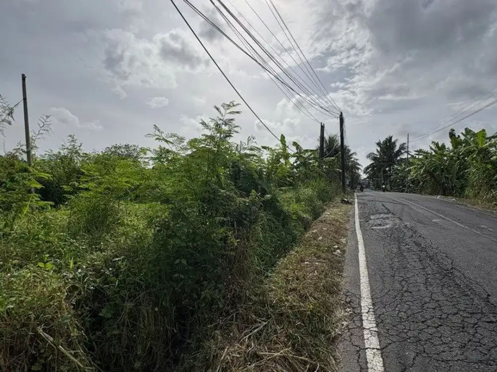 Tanah 12,85 Are Zona Perumahan Angantaka Dijual, di Sukawati Area