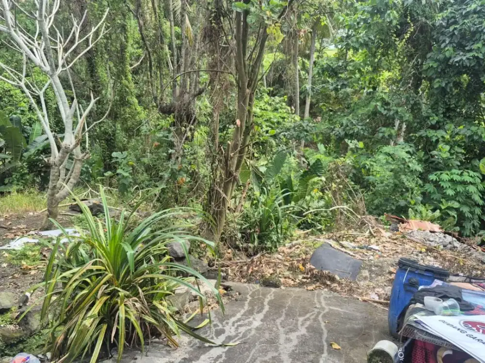 DIJUAL 1 BIDANG TANAH – KABUPATEN TABANAN