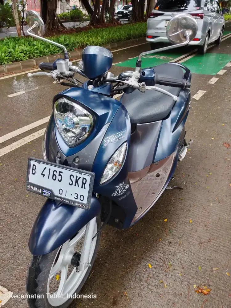 FINO GRANDE 2019/ 2020