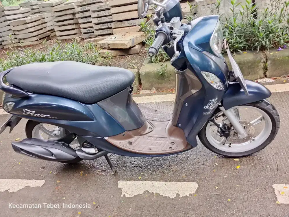 FINO GRANDE 2019/ 2020