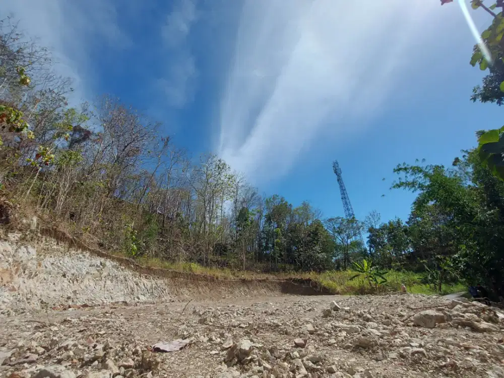 Tanah Bantul Timur di Kawasan Wisata Hutan Pinus Pengger