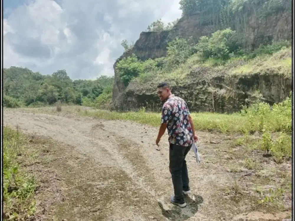 DIJUAL 2 BIDANG TANAH LUAS – KABUPATEN JEMBRANA