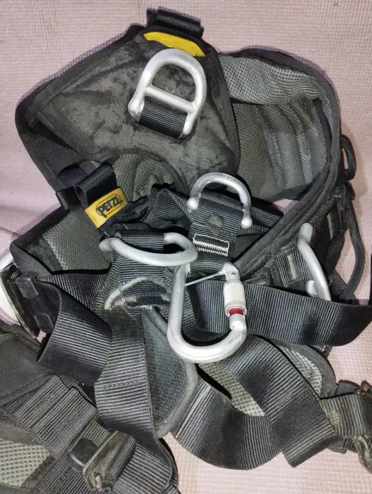 Fullbody harness Avao petzl