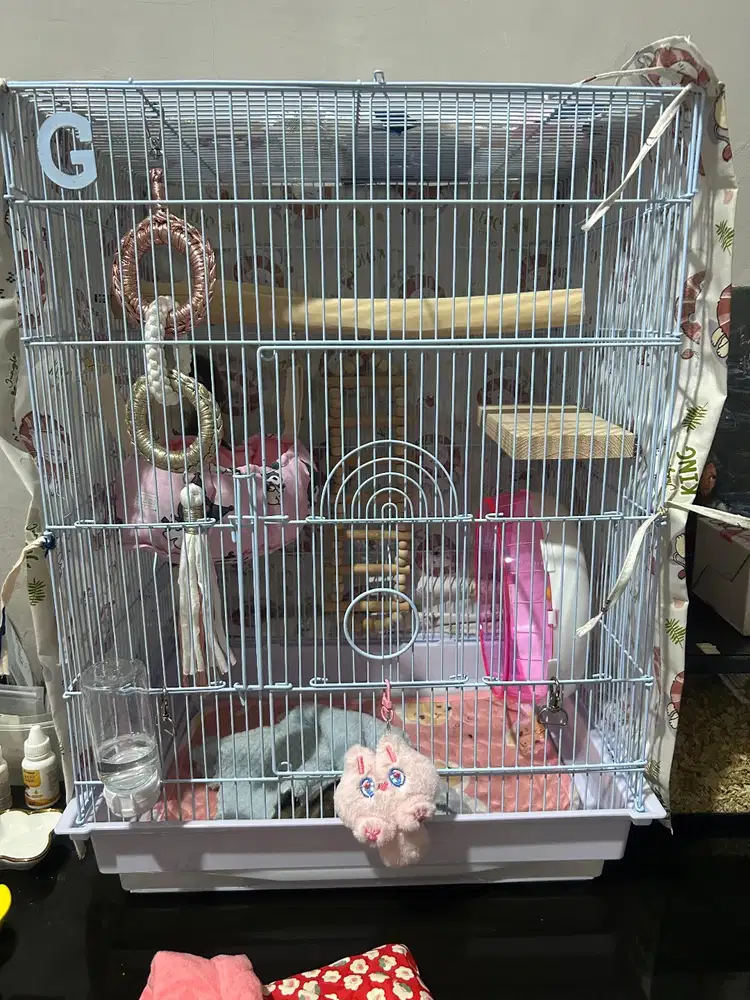 dijual 1 set kandang sugar glider