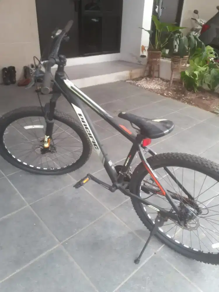 Sepeda Pacific invert 200