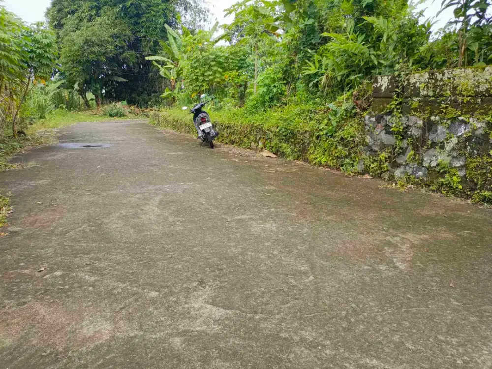 tanah timur obellik pendowoharjo sleman yogyakarta.