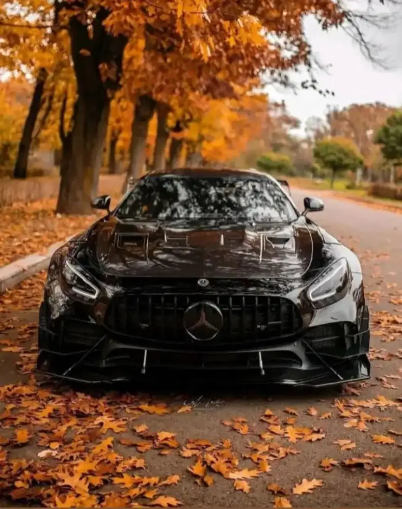 Cari pekerjaan sebagai drver