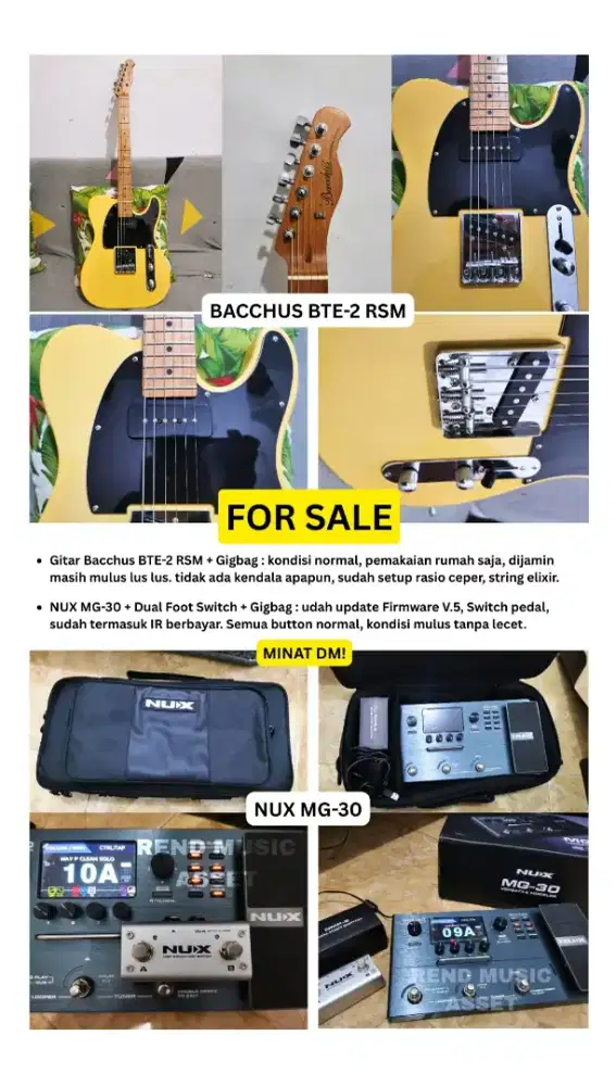 Gitar Bacchus BTE-2RSM