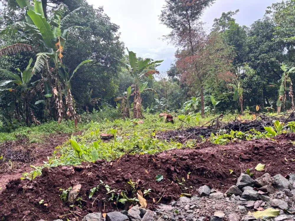 Dijual Murah Tanah Kavling 10 Menit Pasar Setu Bekasi