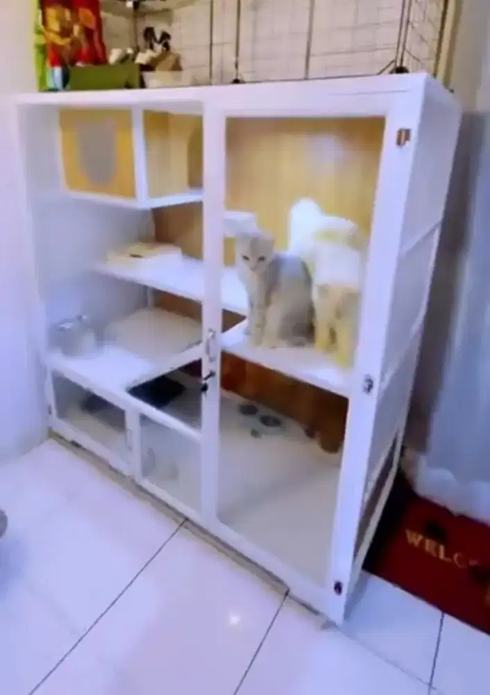Kandang kucing berikut anabul kesayangan