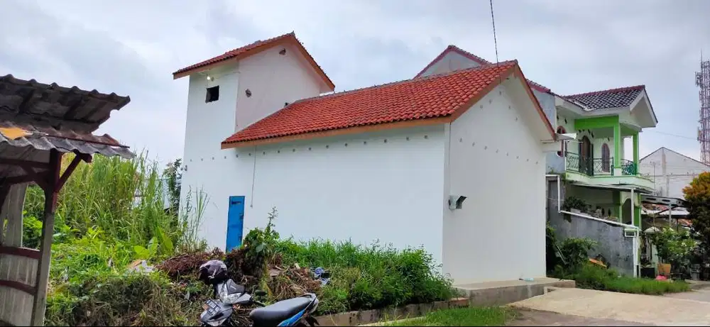 Rumah Burung Walet Produktif