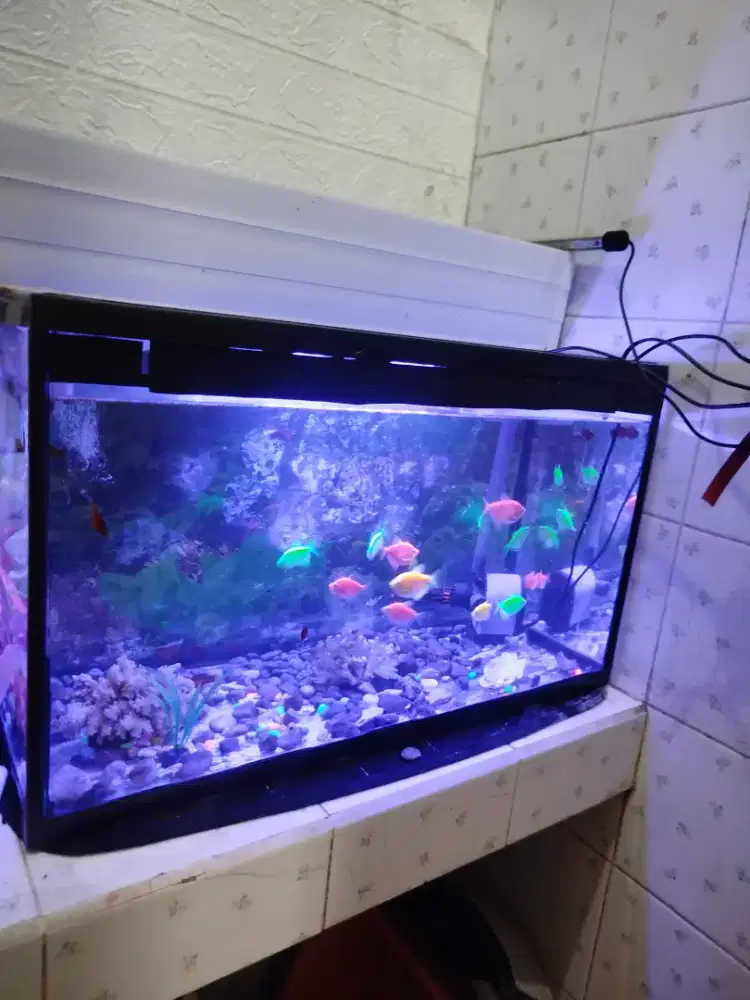 Satu set aquarium akrilik 60cm
