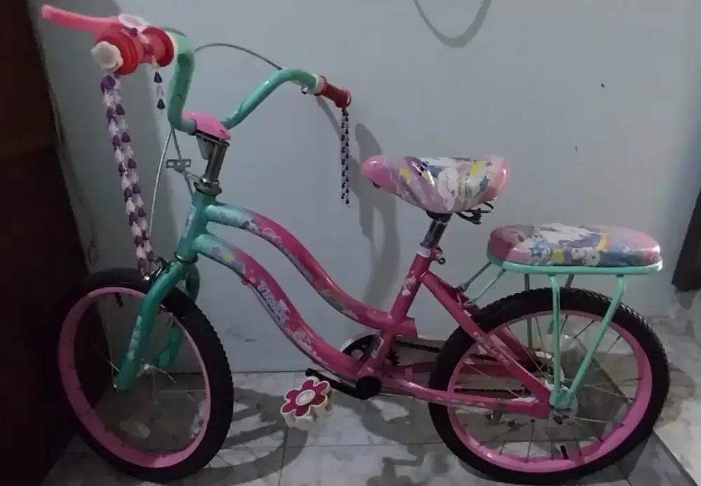 Sepeda Anak Perempuan