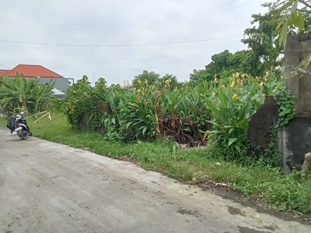 Juaal Tanah Bagus Di Jalan Tukad Citarum Denpasar  Bali. Dekat Jalan Tukad Badung, Tukad Batanghari, Plaza Renon, Sesetan, Sanur,