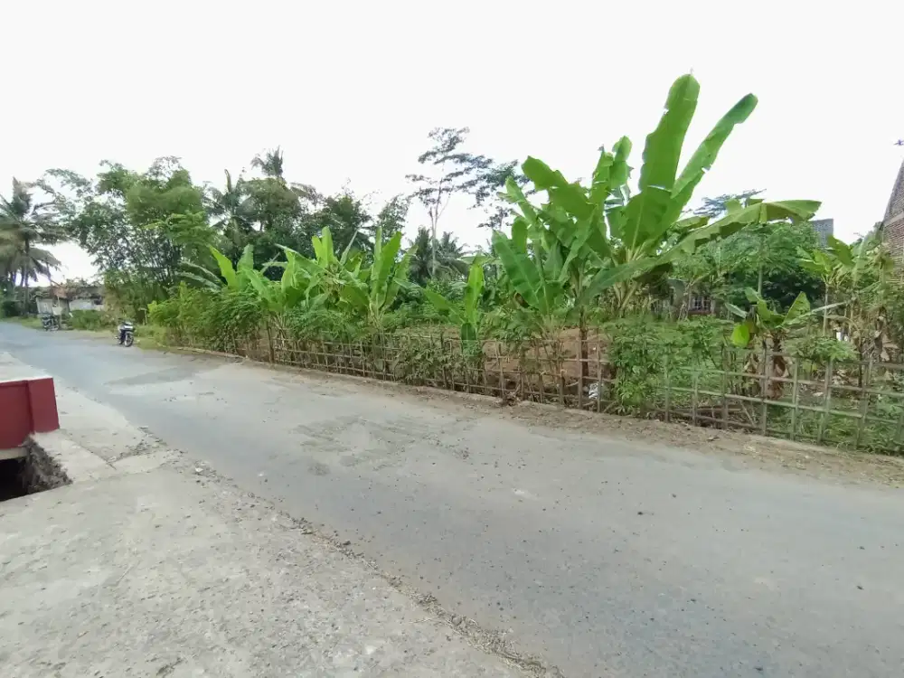 Tanah Kering Barat Purwokerto