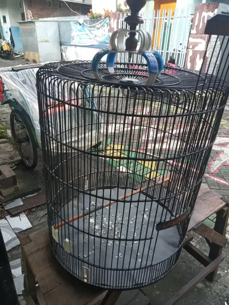 Jual sangkar murai batu siap pakai