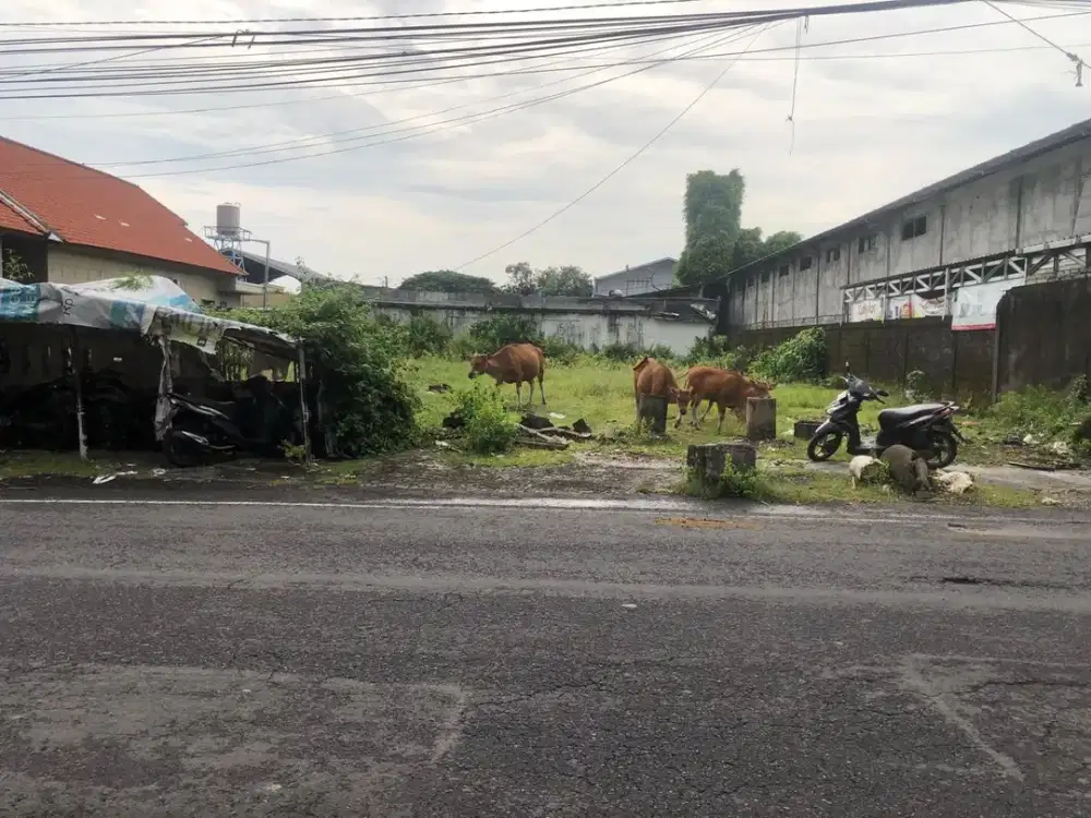 JUAL TANAH BAGUS MUDING