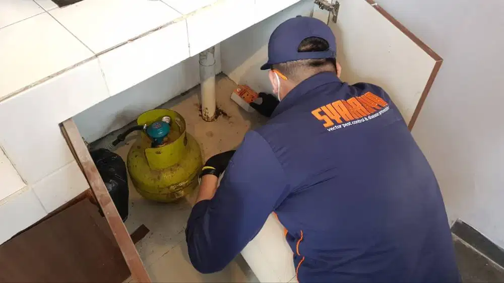 Pest Control atau Pengendalian Hama Balikpapan