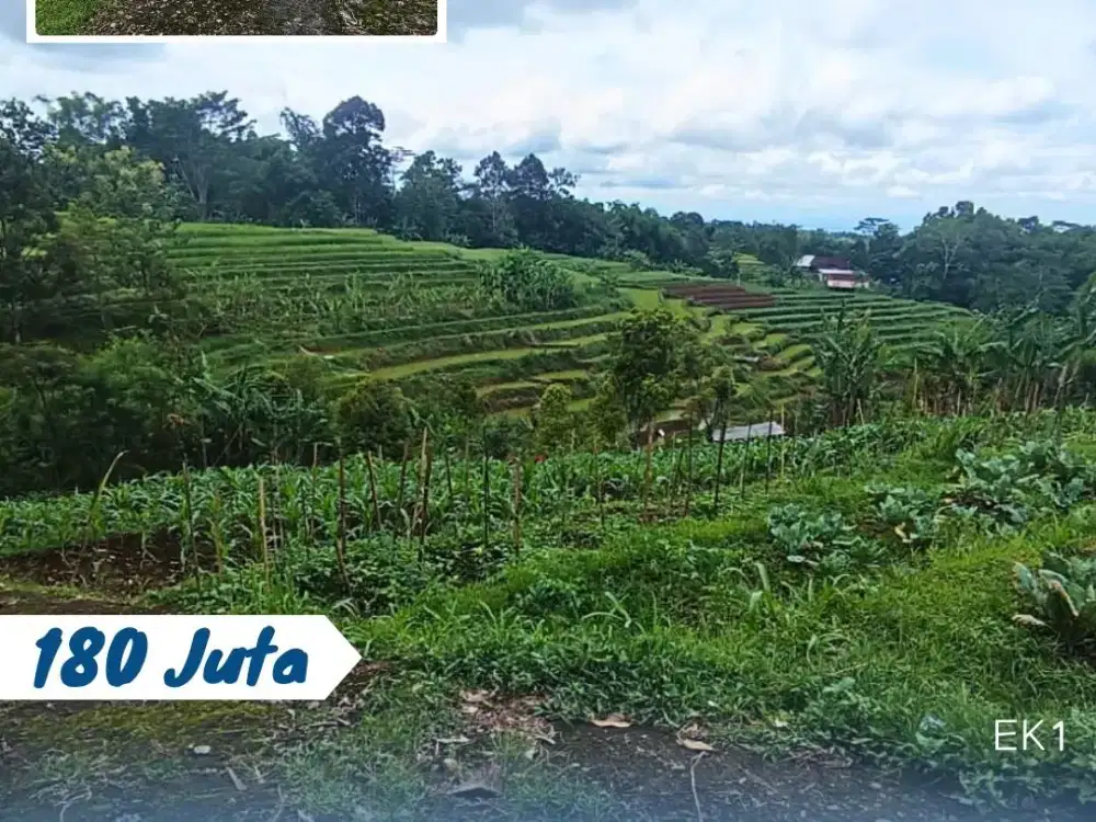 Dijual Tanah Sawah Lokasi Karangpandan Akses Mobil