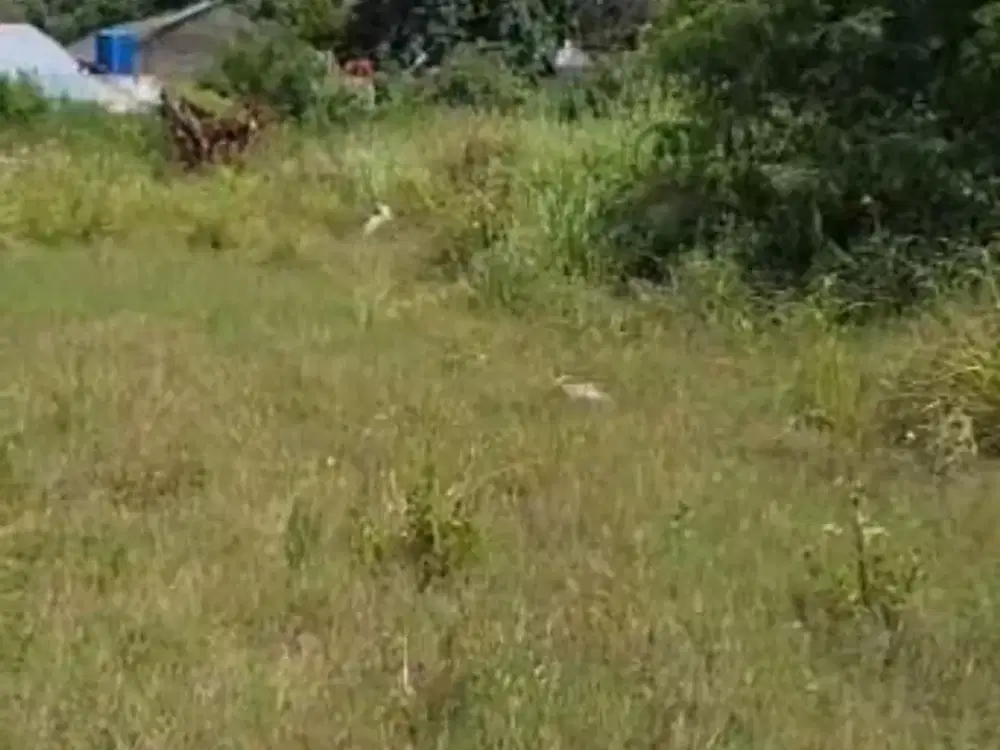 Di Jual Tanah Di Jl. Husen Sastranegara (Pinggir Tol Bandara) Kel Benda Kec Benda