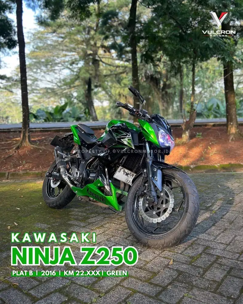 Kawasaki Ninja Z250 2016
