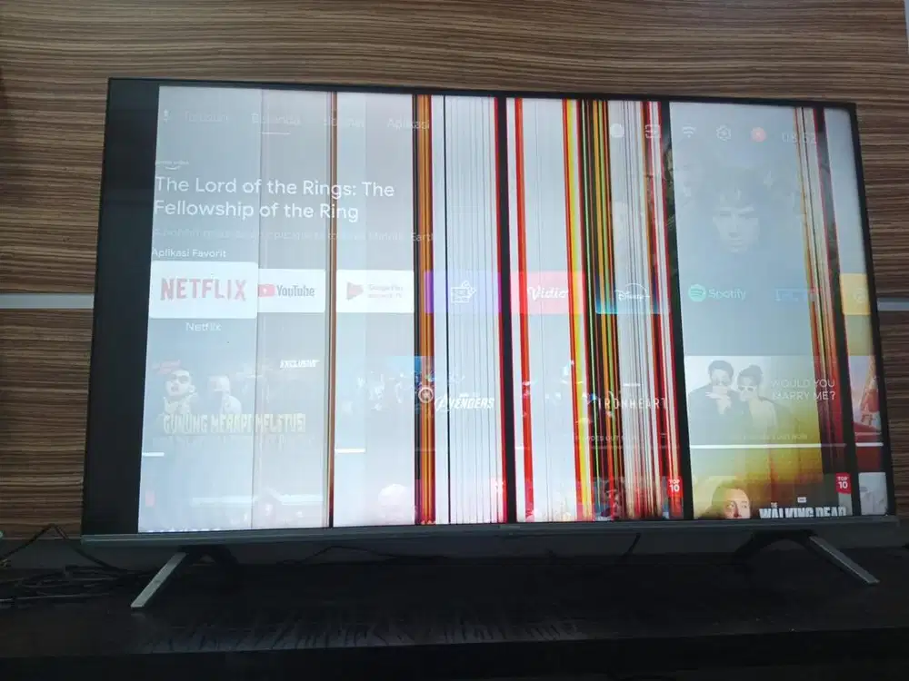 TV Bekas Panel Bergaris