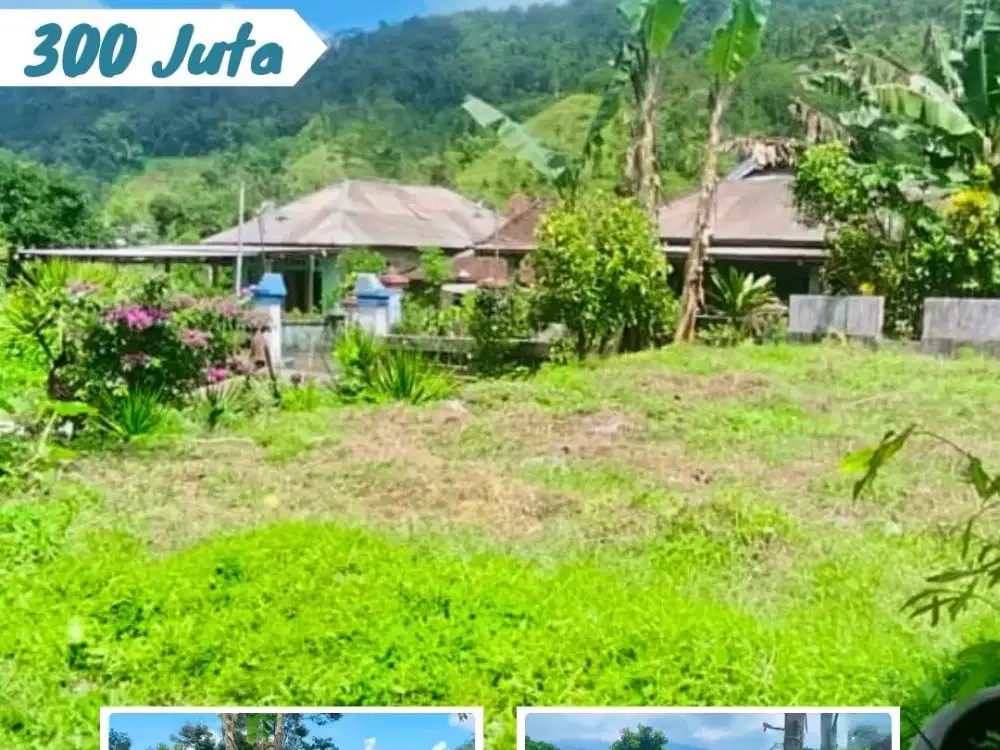 Tanah Kemuning Ngargoyoso Dekat Obyek Wisata View gunung Lawu