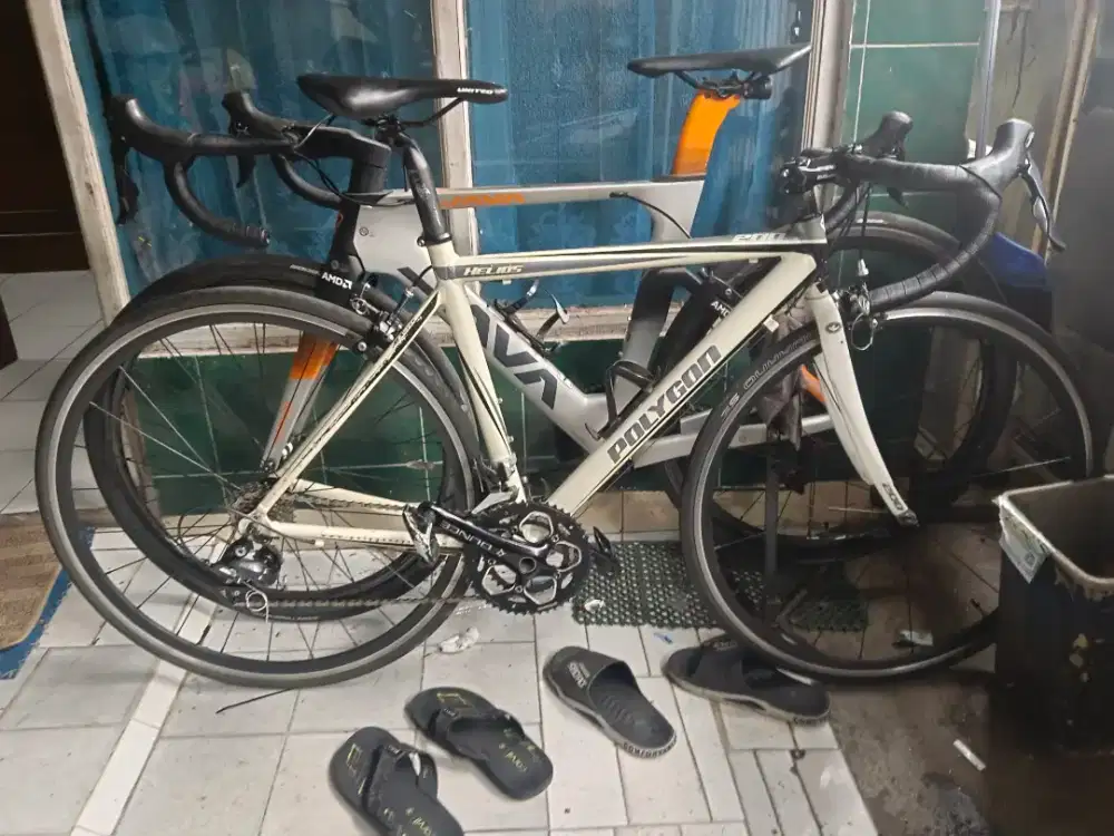 ROADBIKE POLYGON HELIOS 200 SIZE 50