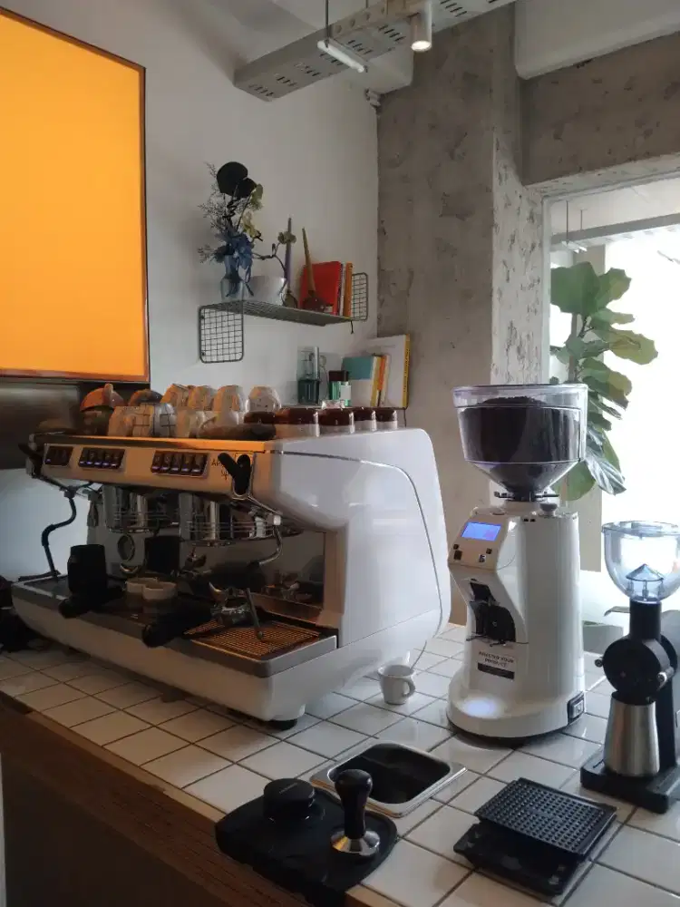 Senior Barista experient