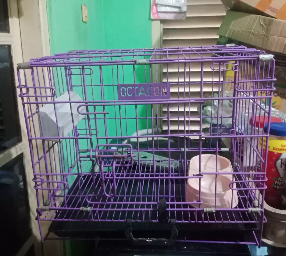 Kandang kucing dan lainnya  kokoh