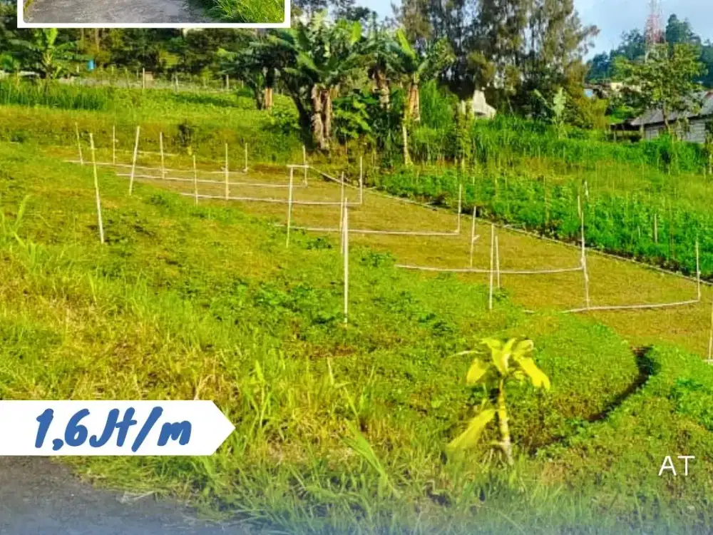 Dijual Tanah Pekarangan Lokasi Tawangmangu Karanganyar Dekat Obyek Wisata