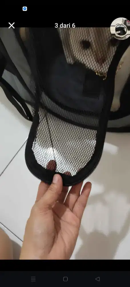 kandang kucing lipat