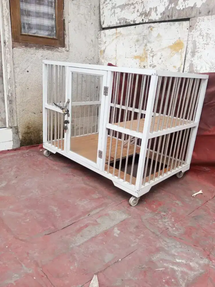 Kandang kucing bagus