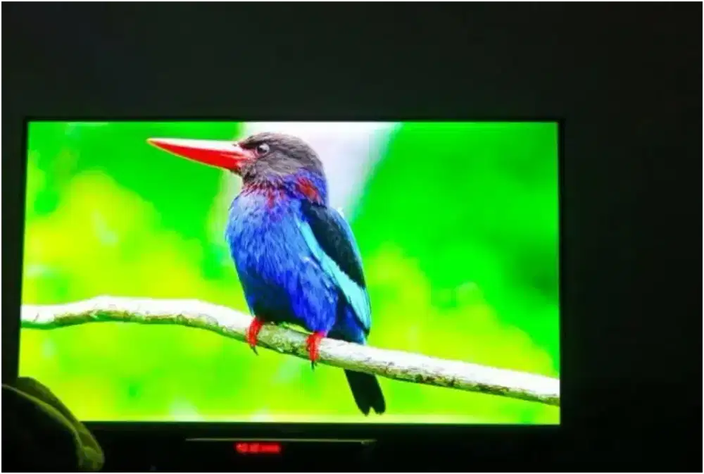 TCL 32 Inch Google TV Full HD (32G9) Normal