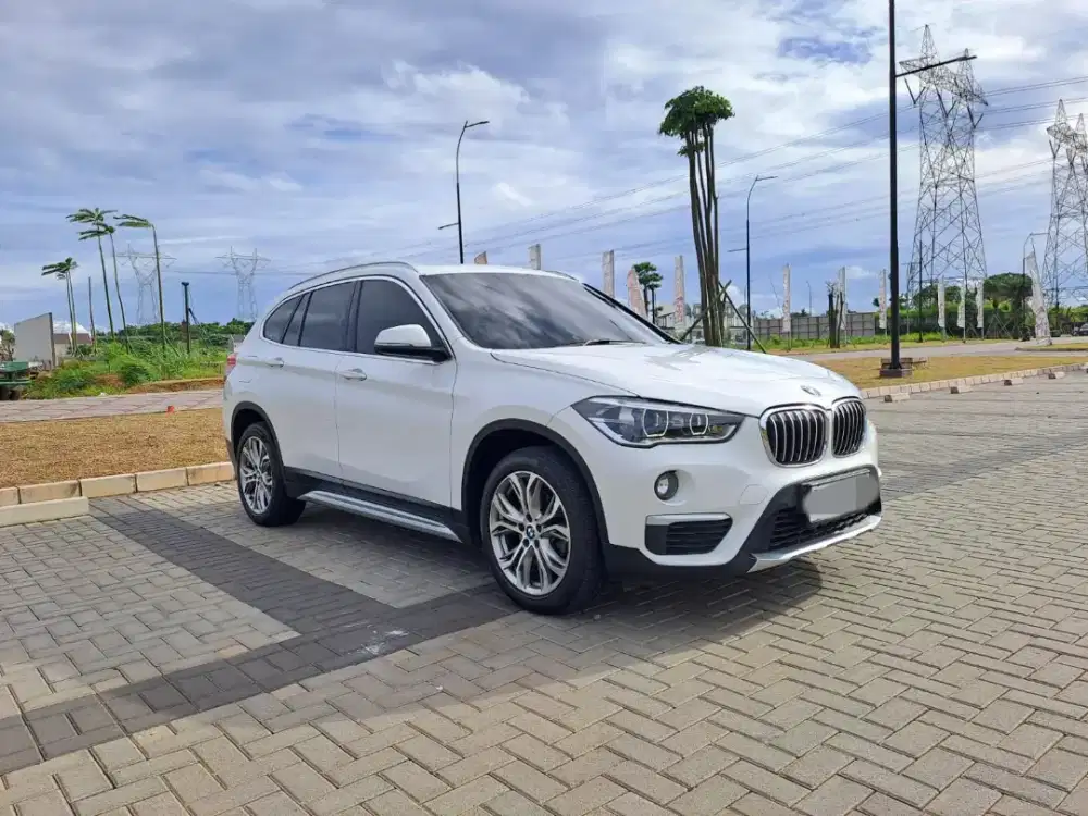 BMW X1 F48 XLine 2020 Panoramic