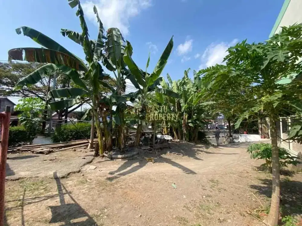 DIJUAL UNIT TANAH LUAS STRATEGIS DI RINGROAD SELATAN SHM DEKAT WISATA KASONGAN