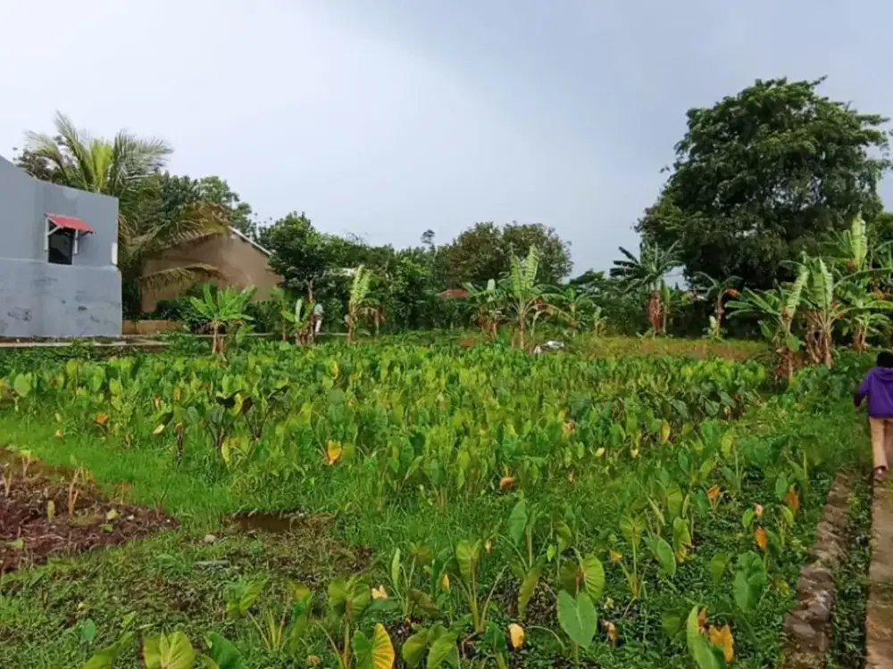 Kapling Special FREE Kulkas & Mesin Cuci Dekat Terminal Laladon