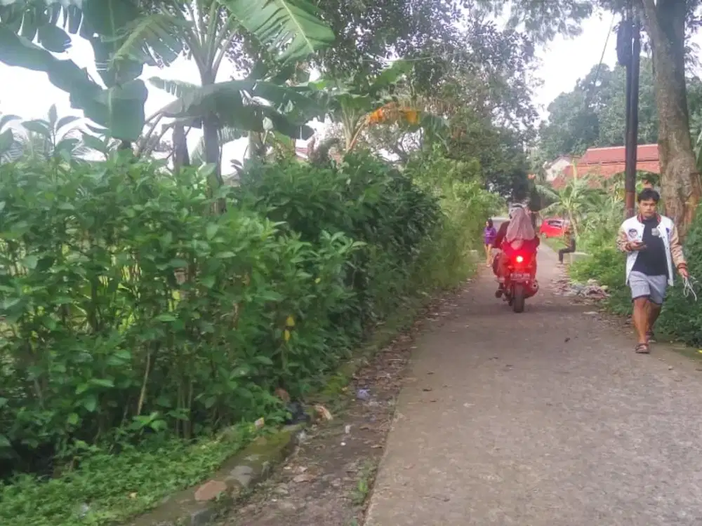 Kapling Special FREE TV, Dekat Terminal Laladon