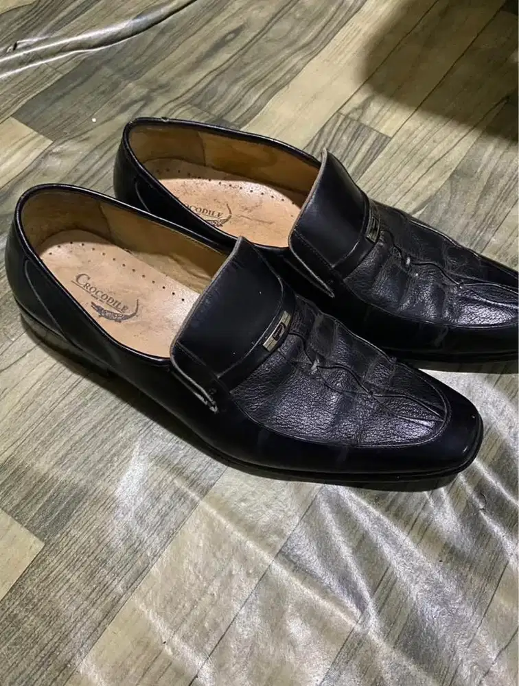 Pantofel crocodile ori