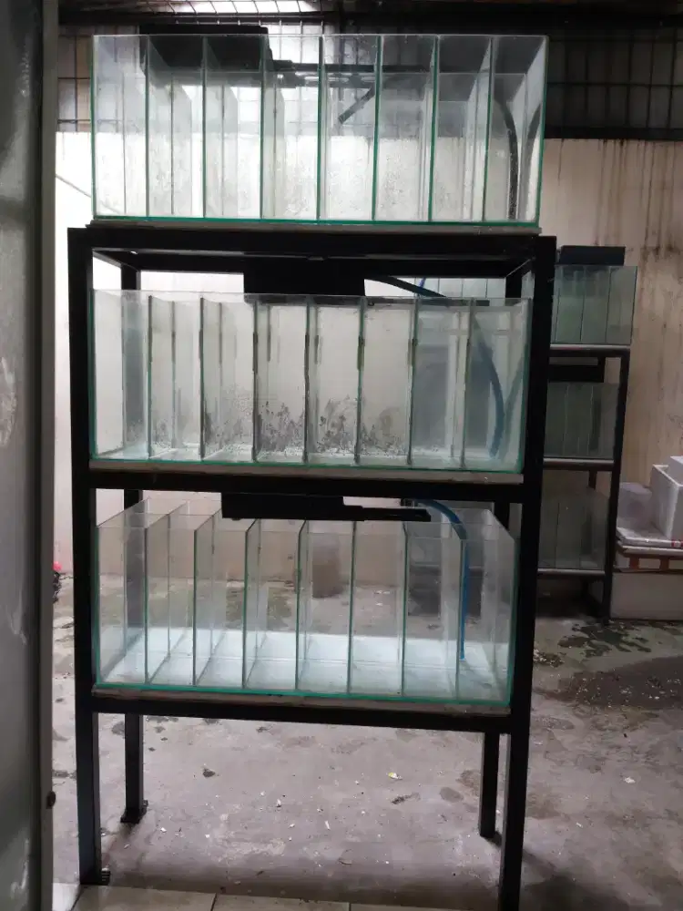 Jual 3Aquarium+Rak besi+3filterbox,aquarium P90cm×L35cm×T35cm,850 nego