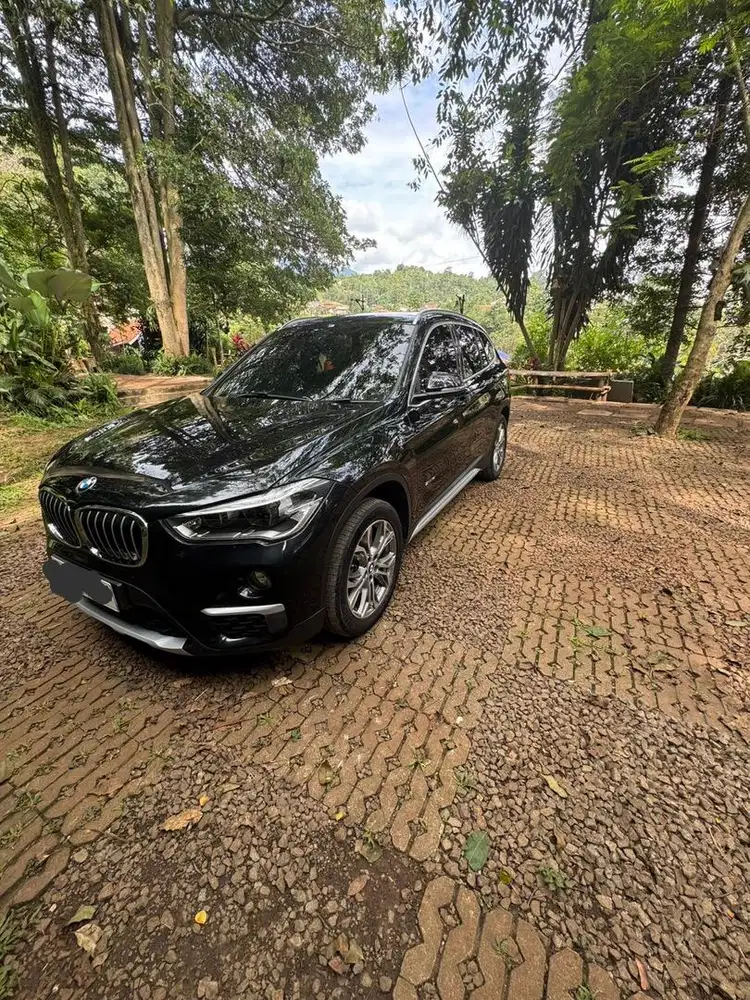 BMW X1 F48 SDrive1.8i 2017