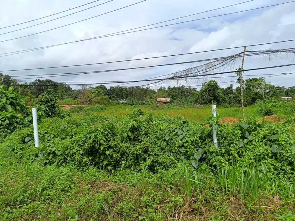 HARGA MURAH Tanah Komersial Dekat Dengan Kantor Pemerintahan