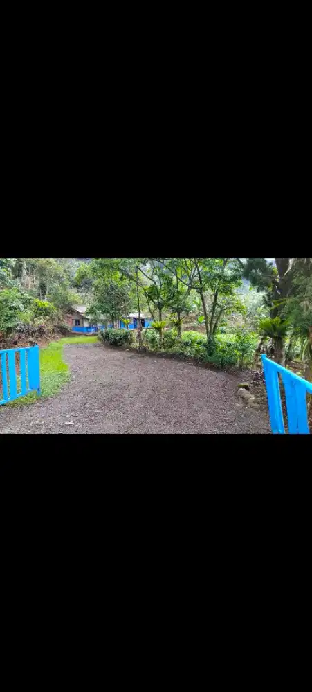 Jual kebun subur Cipanas