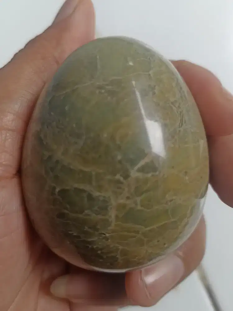 Hiasan Telor Fosil Kayu Hijau Crystal (Giok Pasir Rakit)