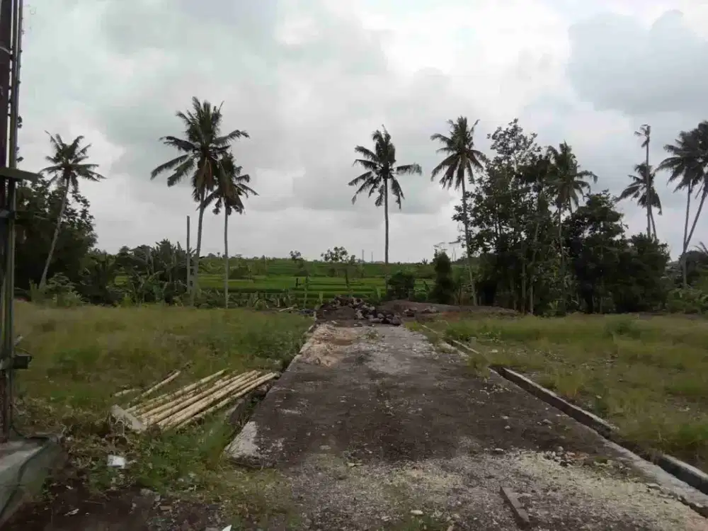 Di Jual 2 Unit Tanah kavling Di Darmasaba Badung.